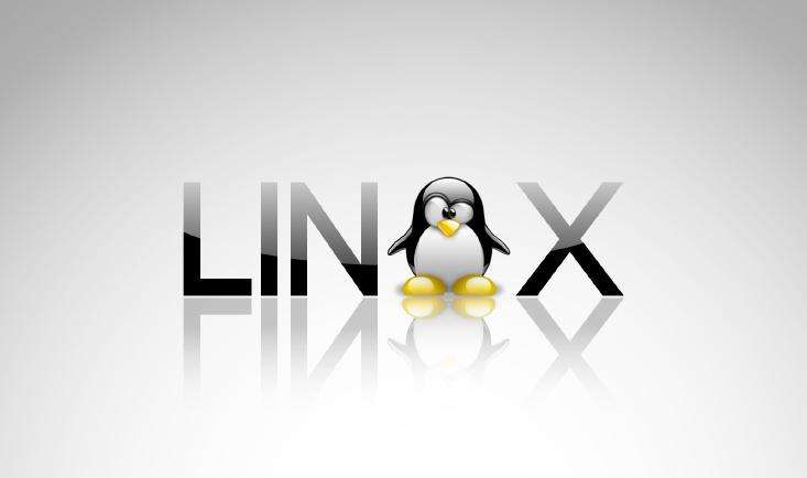 Linux系统I/O测试工具:fio