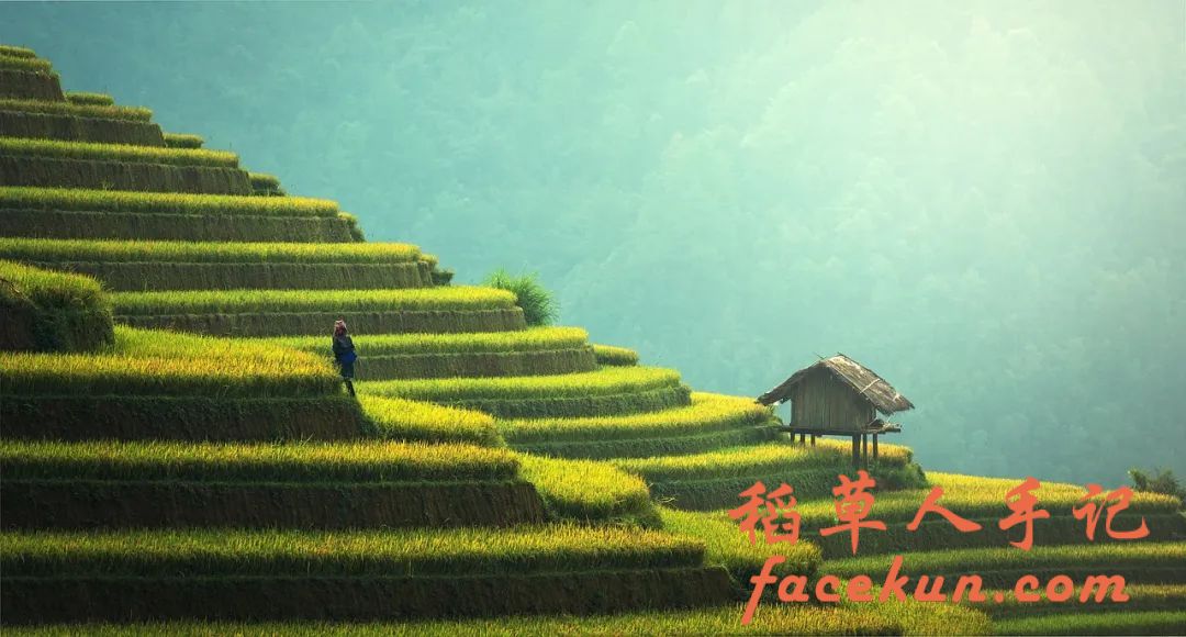 诗词丨且如清风般洒脱,淡然前行闻花香插图 诗词丨且如清风般洒脱,淡然前行闻花香插图