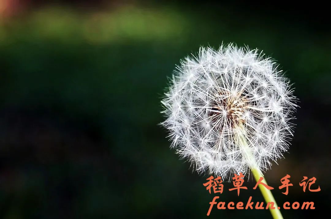 余生,好好经营自己插图2 余生,好好经营自己插图2
