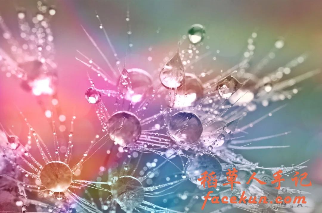 余生,好好经营自己插图1 余生,好好经营自己插图1