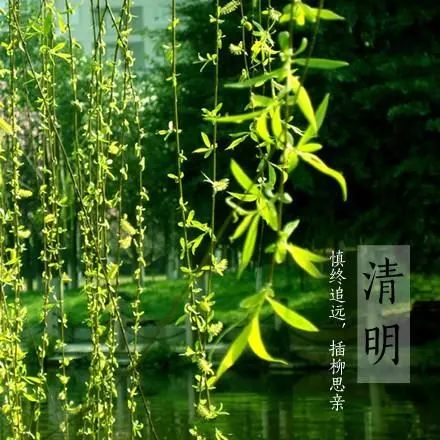 今日清明：山河万里一樽酒，思念不言中​插图1
