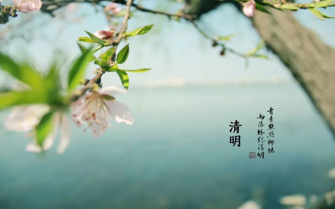 今日清明：山河万里一樽酒，思念不言中​插图3