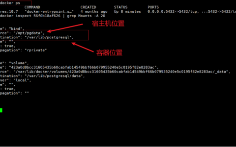 Linux 设置Docker容器开机自启动,Dokcer容器常用命令总结