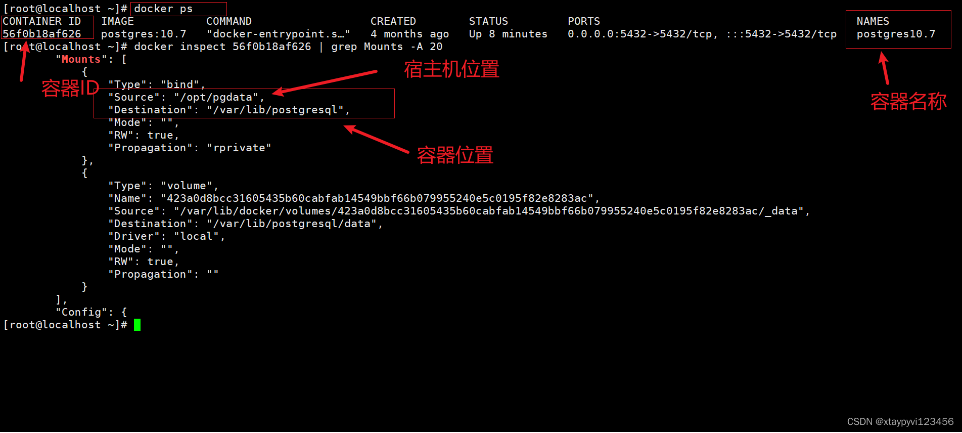 Linux 设置Docker容器开机自启动,Dokcer容器常用命令总结